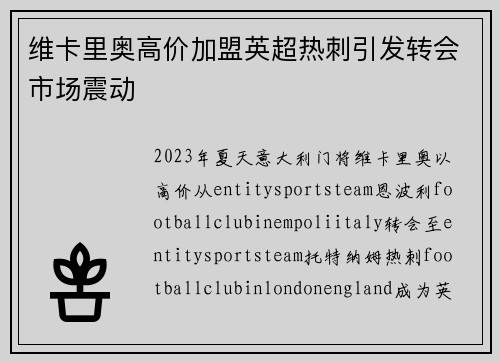 维卡里奥高价加盟英超热刺引发转会市场震动 维卡里奥高价加盟英超热刺引发转会市场震动